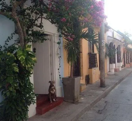 Pensión Sallena House 1
